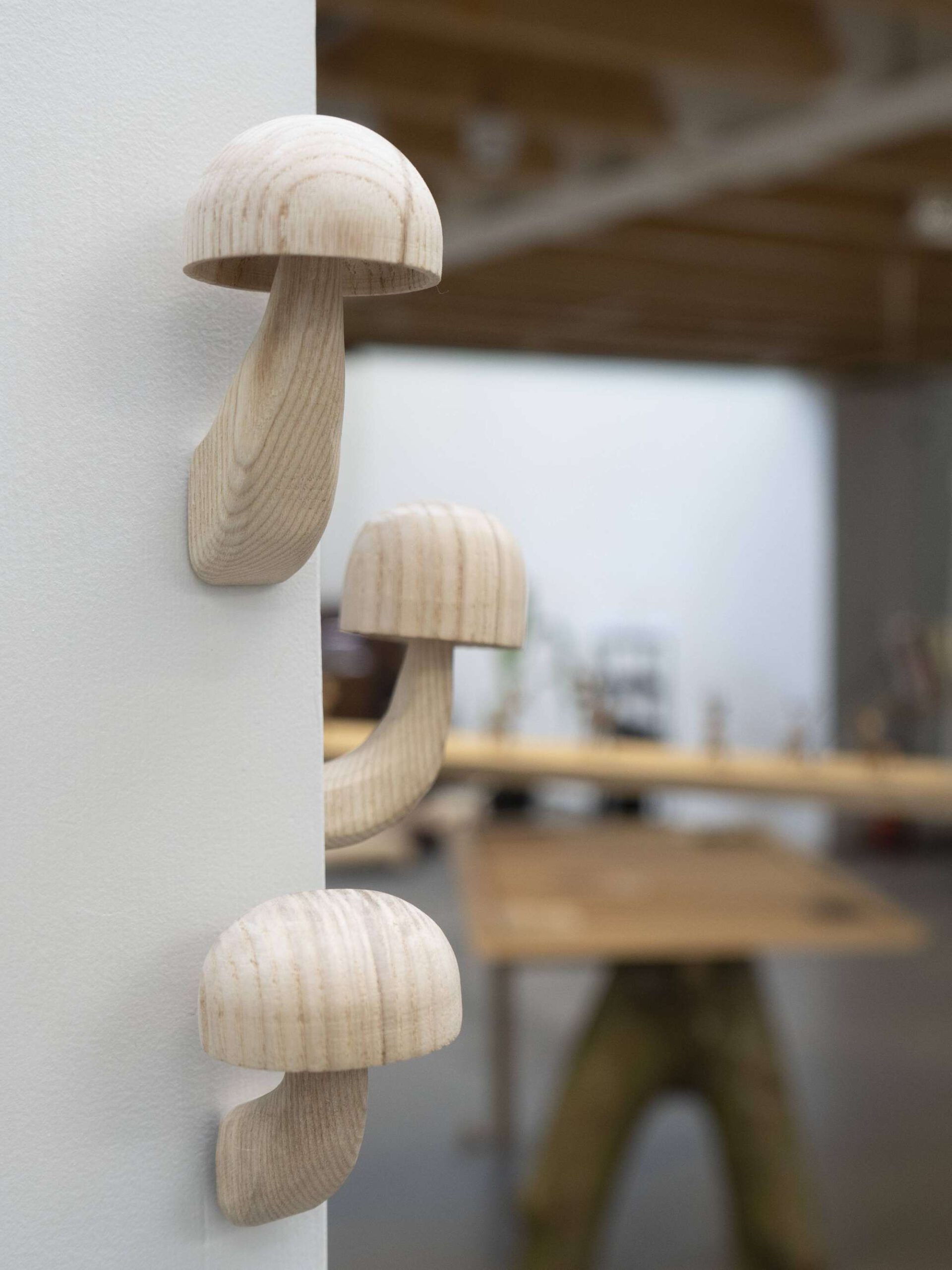 paddenstoeltjes hout