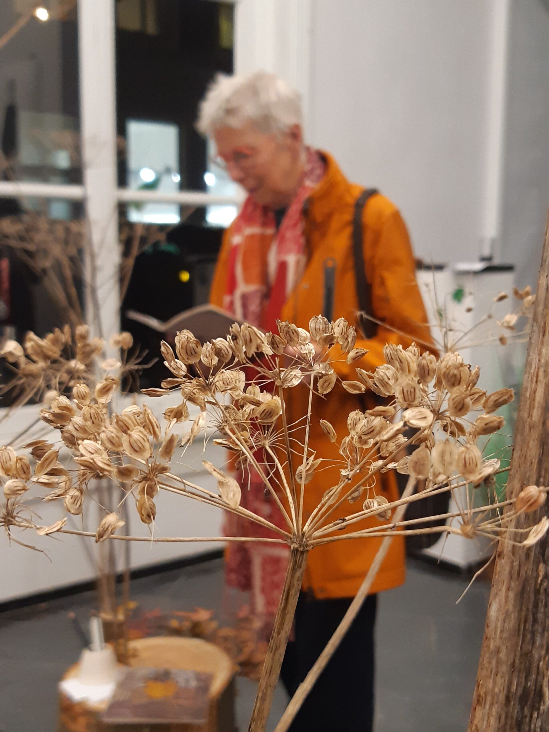 circular stories 3tot4