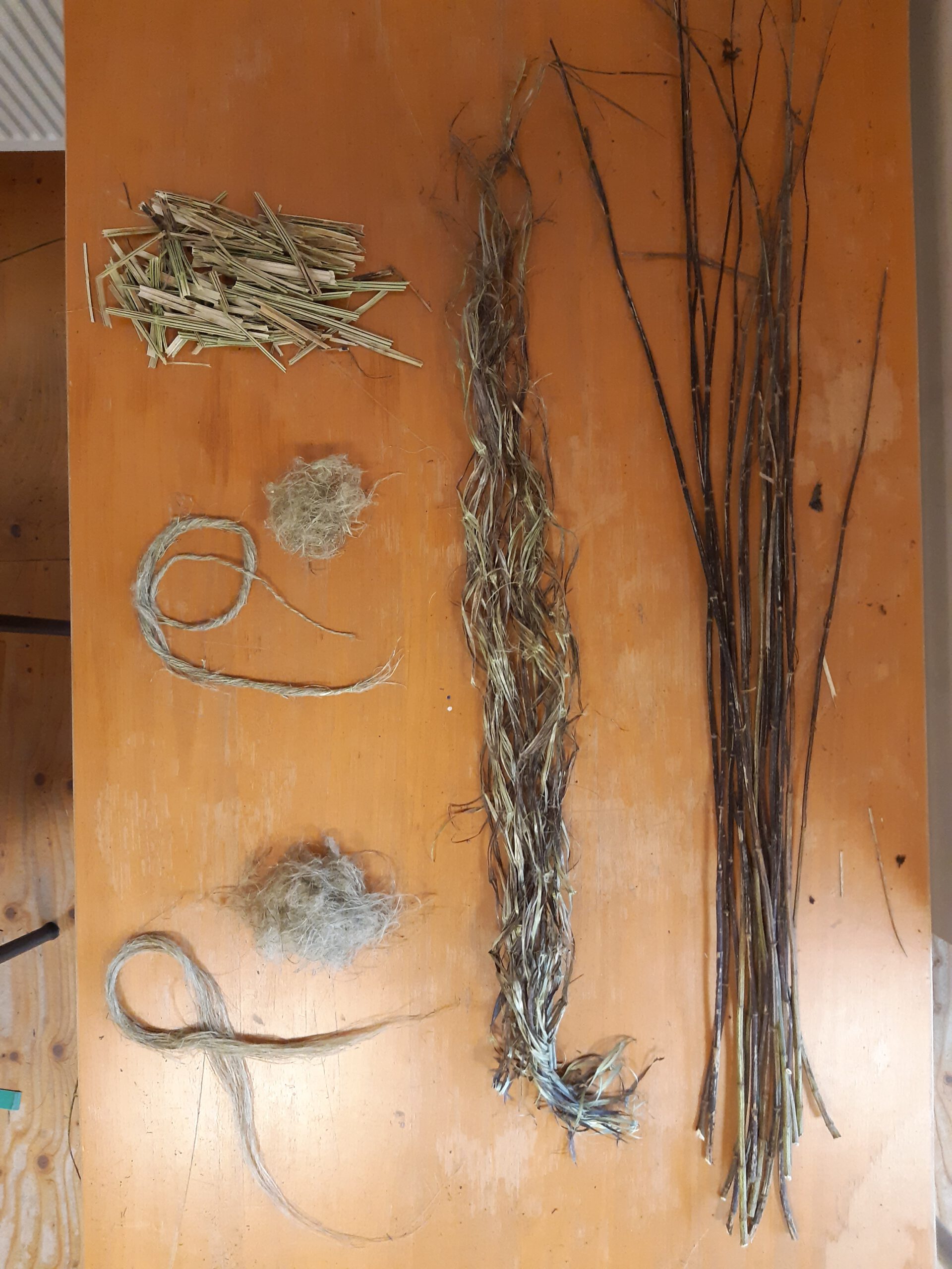 janneke venema nettles from stem to fibre