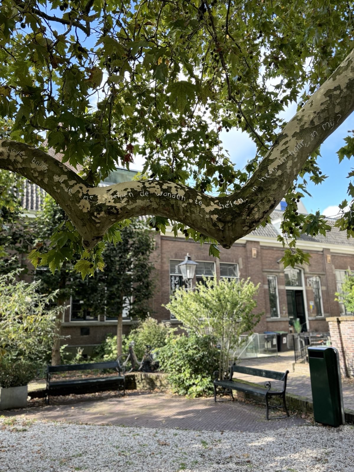 signal-2024-10-07-123029_015