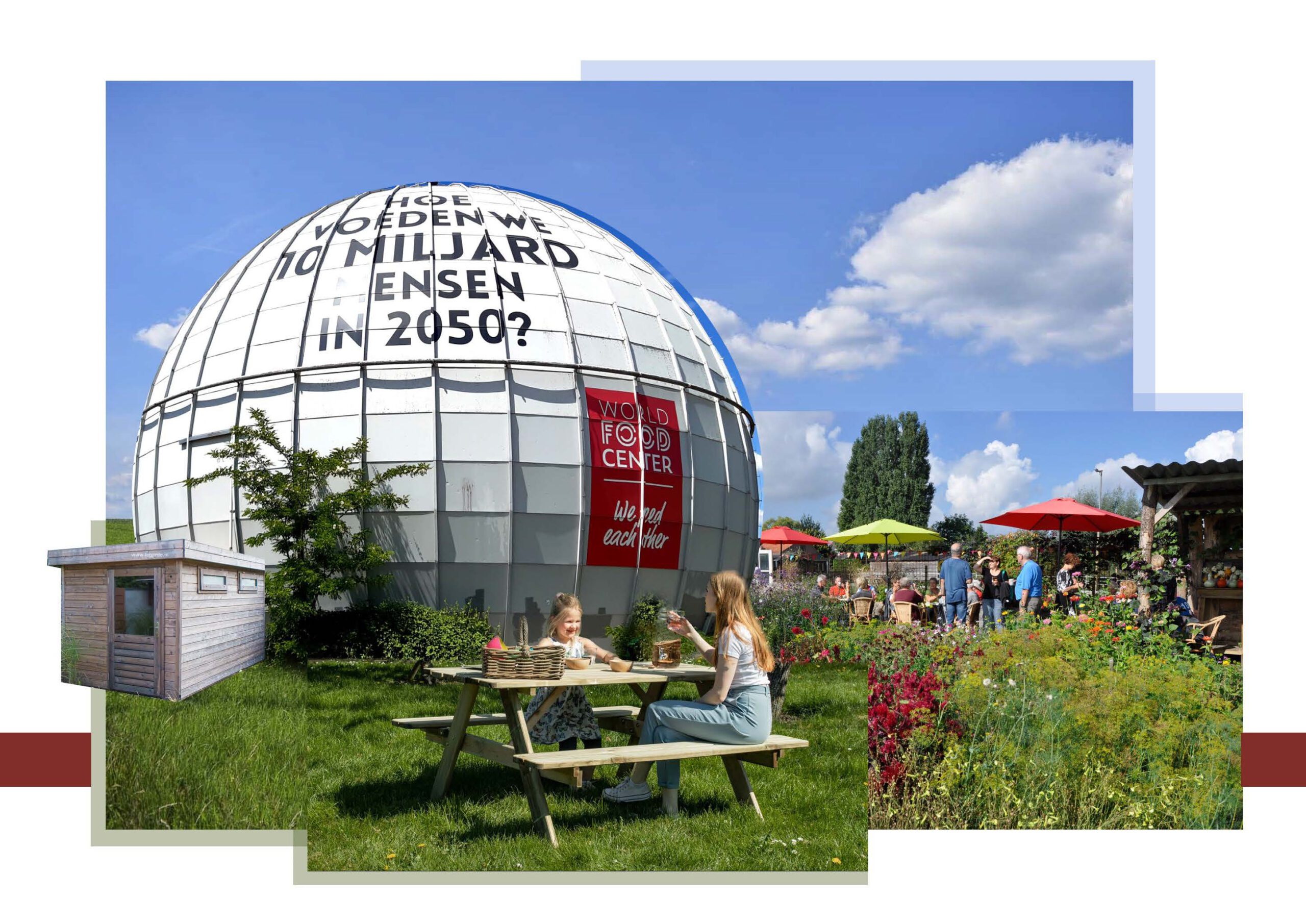 slide stingerbol visualisatie